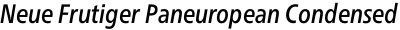Neue Frutiger Paneuropean Condensed Medium Italic